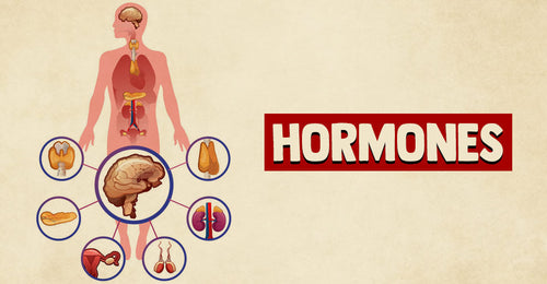 Mood and Skin: How Stress Hormones Sabotage Your Glow (and What to Do About It)