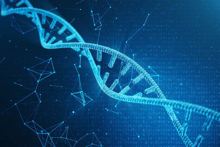 Skin Epigenetics: How Lifestyle Choices Rewrite Your Beauty DNA