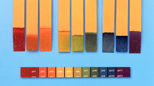 pH Balance in Skincare: Why the Acid Mantle Is the Foundation of Healthy Skin