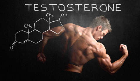 Testosterone, Sleep, and Stress: Balancing the Triangle of Men’s Health