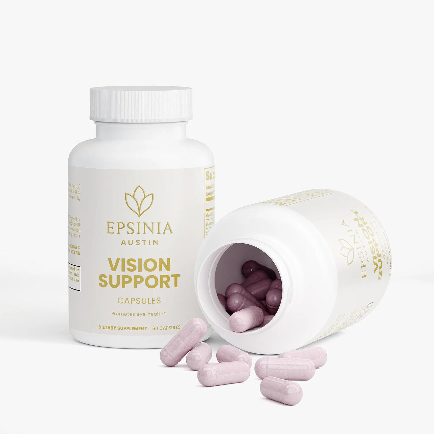 Vision Support EPSINIA USA