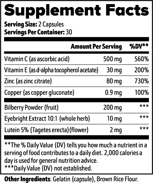 Vision Support EPSINIA USA