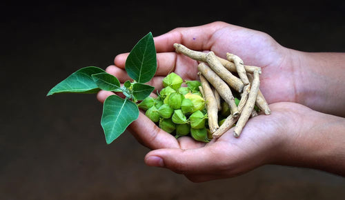 Ashwagandha, Collagen & Vitamin C: The Ultimate Beauty Stack