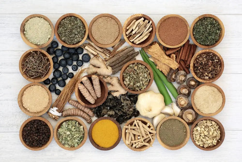 Adaptogens 101: How Ashwagandha and Rhodiola Transform Stress Into Strength
