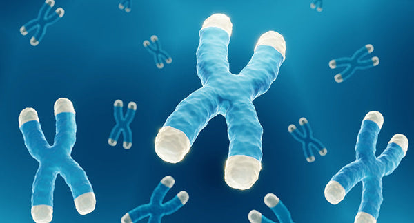 Cellular Longevity: The Science Behind Ageless Skin and Mitochondrial Health