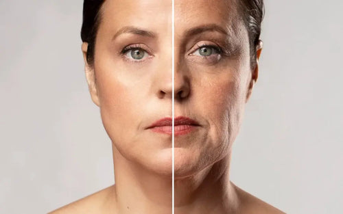 Collagen Peptides vs Collagen Gummies — Which One Works Best?
