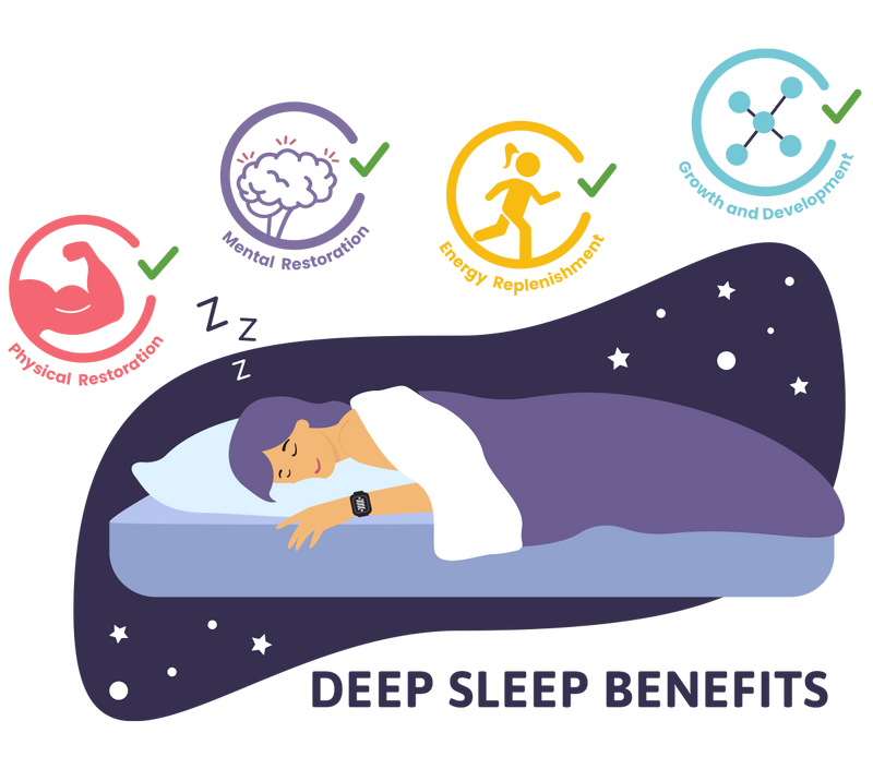 Deep Sleep, Deep Beauty: How REM Cycles Drive Skin Repair Overnight