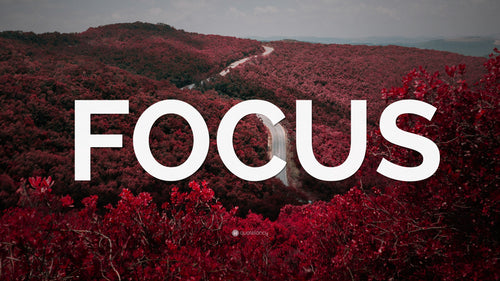 Focus Fuel: The Best Natural Nootropics and Adaptogens for Energy and Mental Clarity in Sports