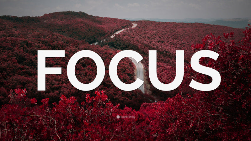Focus Fuel: The Best Natural Nootropics and Adaptogens for Energy and Mental Clarity in Sports
