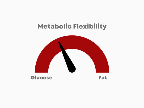 Metabolic Flexibility: How to Train Your Body to Burn Fat and Boost Focus Naturally
