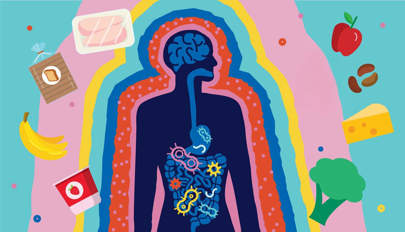 Microbiome Beauty: How Bacteria Are the New Skincare Frontier