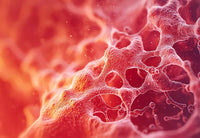 Microcirculation Magic: How Massage and Lymphatic Flow Transform Skin Health