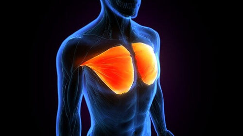 Muscle Recovery Mastery: 10 Anti-Inflammatory Foods and Supplements That Actually Work