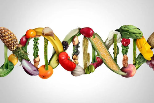 The Future of Nutrition: Personalized Vitamins and DNA Testing