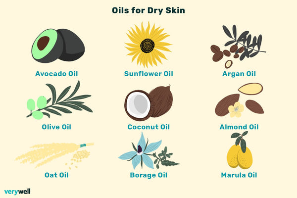Best Oils for Skin Hydration — Squalane, Jojoba, Argan & More