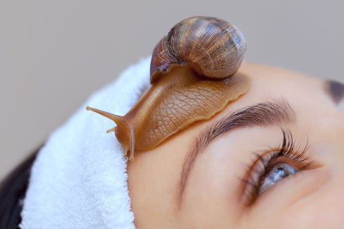 The Science of Radiance: How Peptides and Snail Mucin Transform Your Skin Barrier