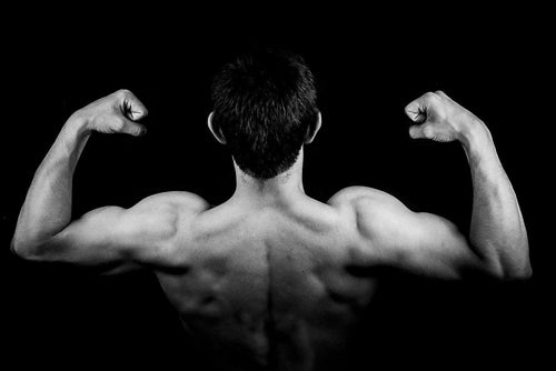 The Testosterone Blueprint: Natural Ways to Boost Strength, Sleep, and Confidence