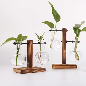 Transparent Bulb Vase with Wooden Stand - Ma boutique