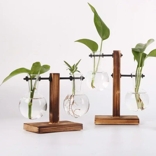 Transparent Bulb Vase with Wooden Stand
