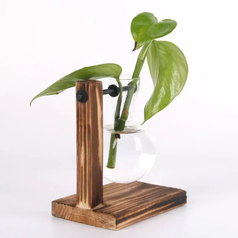 Transparent Bulb Vase with Wooden Stand - Ma boutique