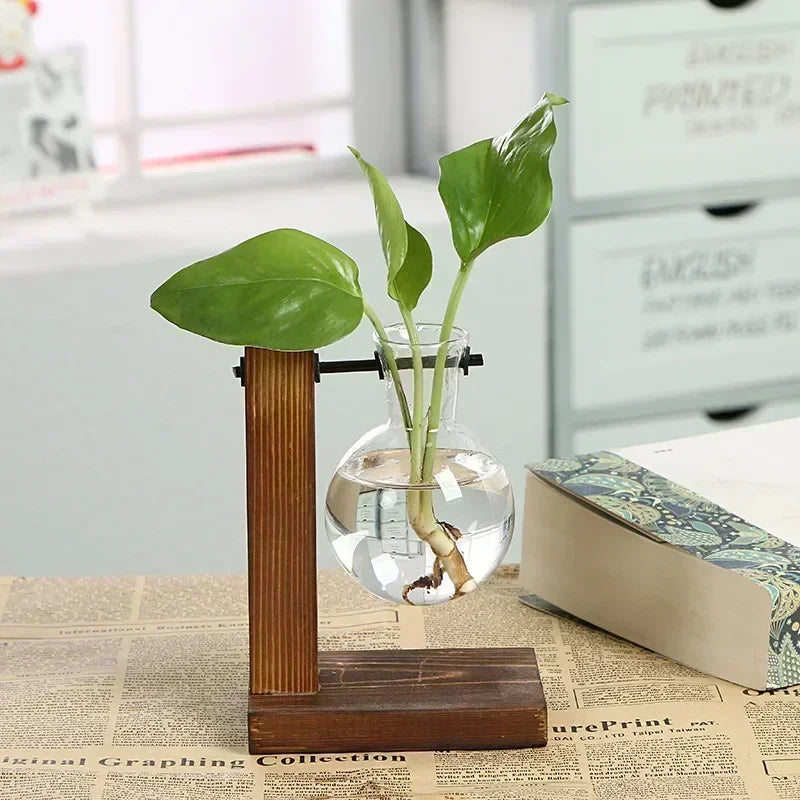 Transparent Bulb Vase with Wooden Stand - Ma boutique