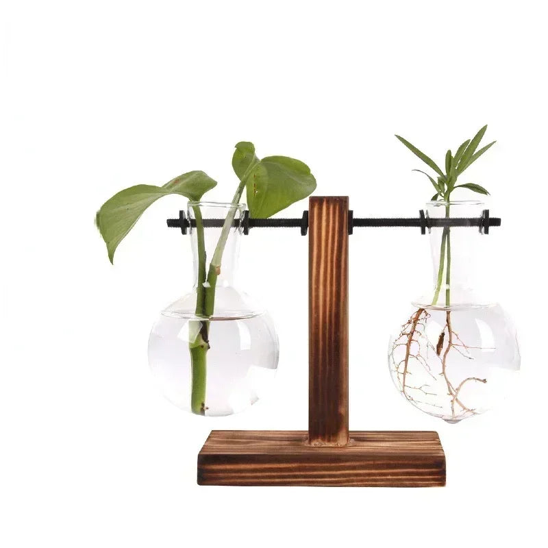 Transparent Bulb Vase with Wooden Stand - Ma boutique