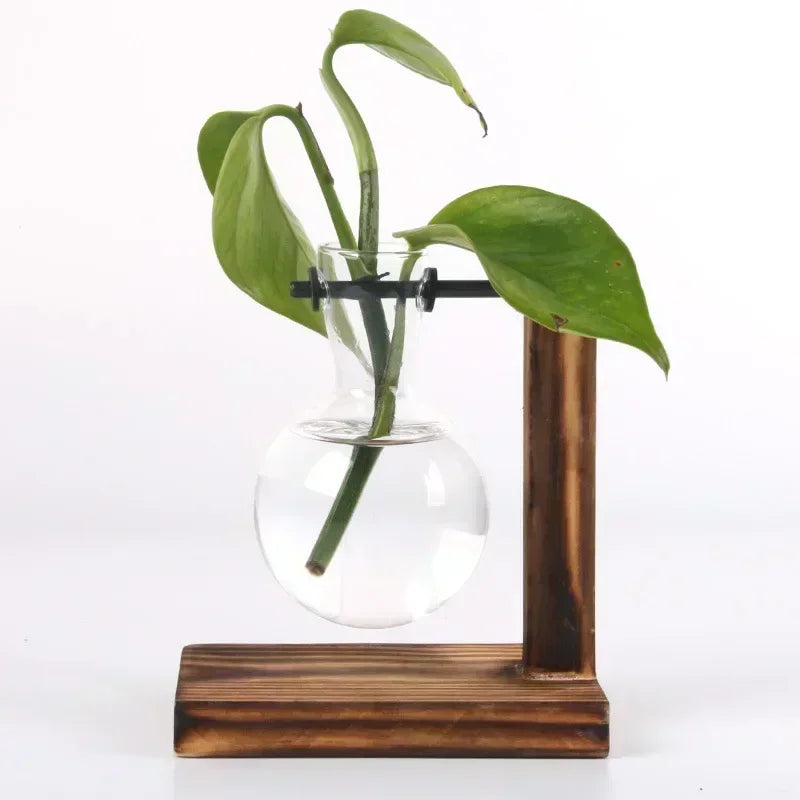 Transparent Bulb Vase with Wooden Stand - Ma boutique
