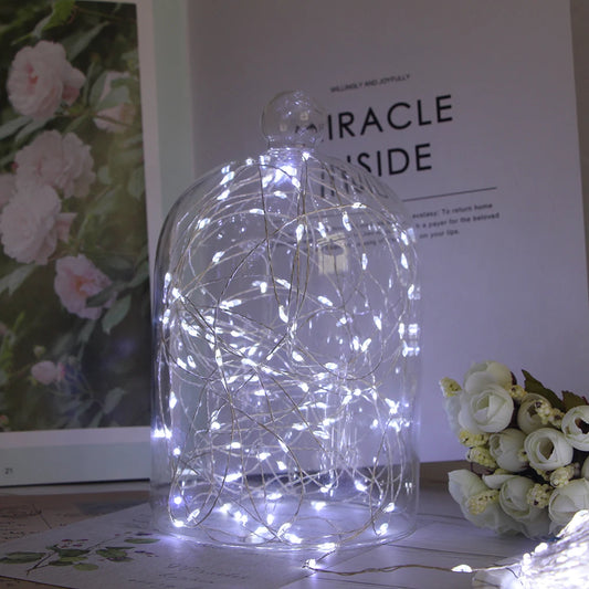 Copper Wire LED Fairy String Lights USB/Battery Box